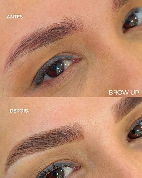 Post: antes e depois do Brow Up